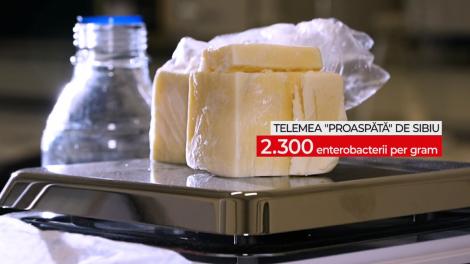 Ce ne puneți în mâncare-campania Observator continuă astăzi. Telemeaua de Sibiu, falsificată şi cu 2300 de enterobacterii per gram