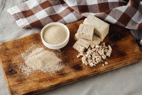 Drojdia proaspătă vs drojdia uscată. Când se folosește fiecare ca să obții aluatul perfect