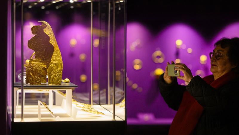 Ancheta pentru furtul tezaurului dacic continuă. A fost arestat al cincilea suspect.Ce au găsit polițiștii olandezi în locuința sa