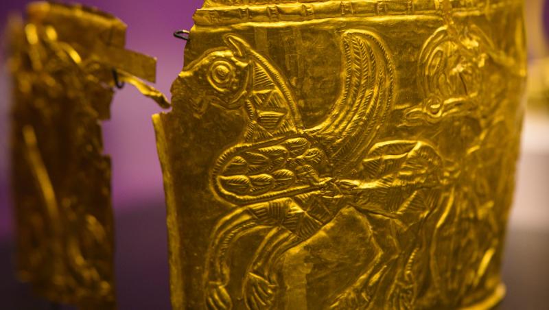 Ancheta pentru furtul tezaurului dacic continuă. A fost arestat al cincilea suspect.Ce au găsit polițiștii olandezi în locuința sa