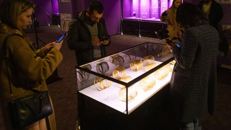 Ancheta pentru furtul tezaurului dacic continuă. A fost arestat al cincilea suspect.Ce au găsit polițiștii olandezi în locuința sa