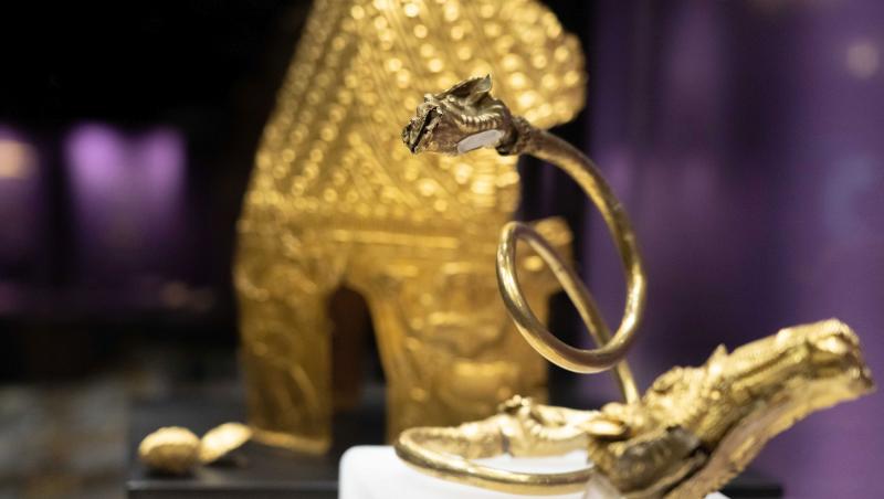 Ancheta pentru furtul tezaurului dacic continuă. A fost arestat al cincilea suspect.Ce au găsit polițiștii olandezi în locuința sa