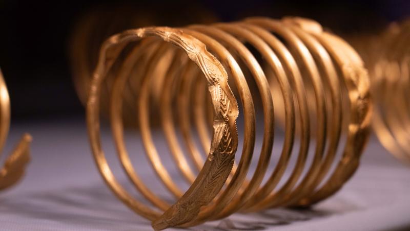 Ancheta pentru furtul tezaurului dacic continuă. A fost arestat al cincilea suspect.Ce au găsit polițiștii olandezi în locuința sa