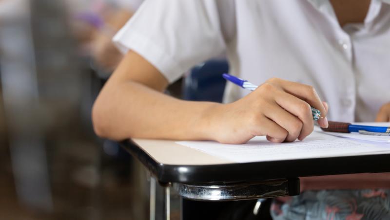 Noi discipline opţionale au fost incluse în oferta naţională de studiu. Care sunt cele șapte materii pe care le pot studia elevii