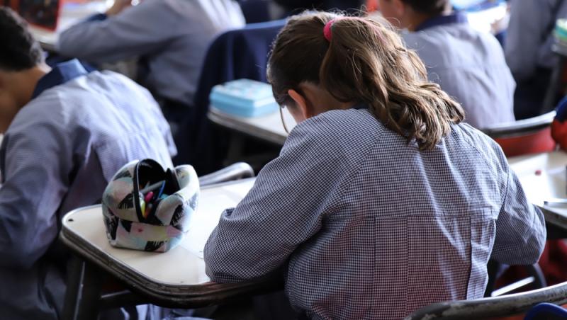 Noi discipline opţionale au fost incluse în oferta naţională de studiu. Care sunt cele șapte materii pe care le pot studia elevii