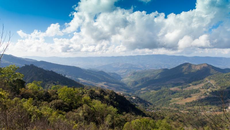 Craniu şi alte rămăşiţe umane de peste 5000 de ani, descoperite în Prahova. Cum arată și în ce stare sunt osemintele