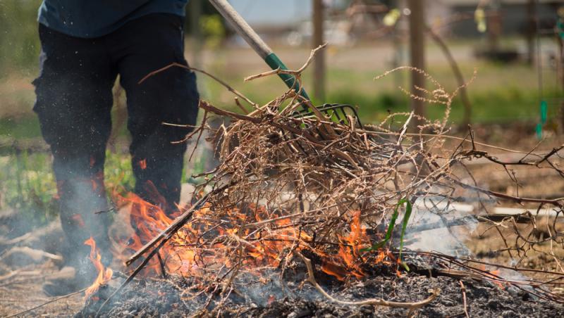 bărbat care dă foc la crengi și frunze în curte