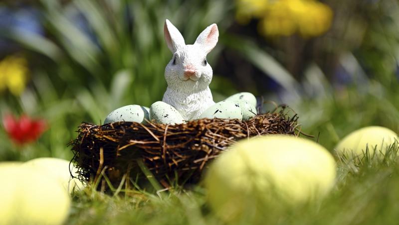 imagine cu un iepure de paste decoratiune intr-un cos de oua