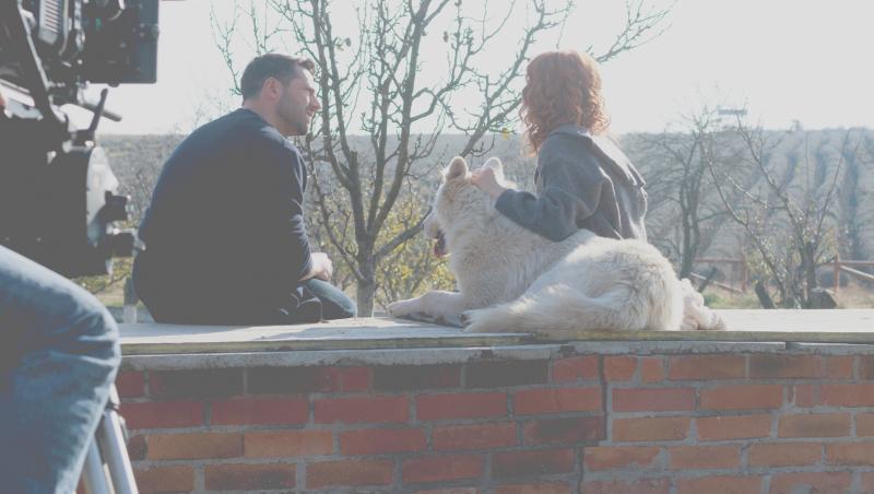 Iubire cu parfum de lavandă, rezumat episoade 40, 41 și 42 din 18 aprilie 2025. Traian este împușcat. Ce se întâmplă cu Silvia