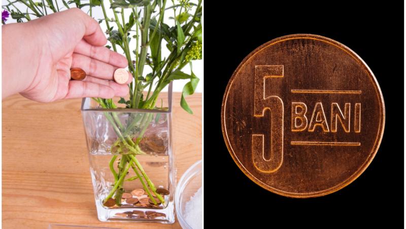 coplaj foto cu vaza de flori si moneda de 5 bani