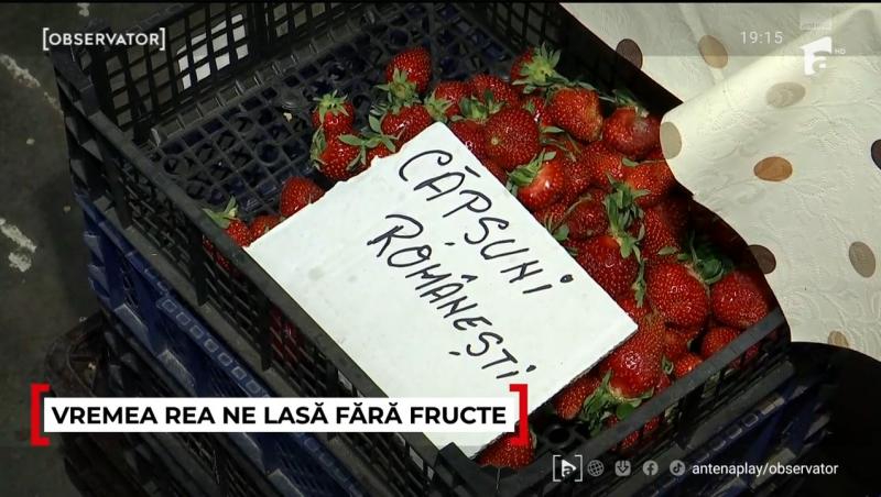 Prețul căpșunelor românești îi sperie pe români. Cât a ajuns să coste o caserolă de jumătate de kilogram