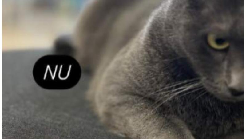 Mireasa, sezon 7. Andreea și Ionuț s-au despărțit. Fata a confirmat separarea după ce amândoi și-au șters pozele de cuplu