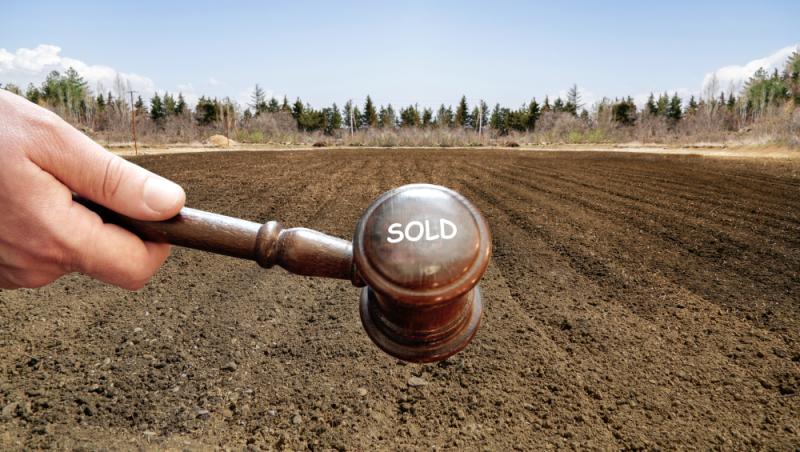 Ce sunt bunurile imobile și de câte feluri sunt? (P)