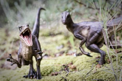 Care era cel mai rapid dinozaur din istorie. Experții au dezvăluit specia rapidă