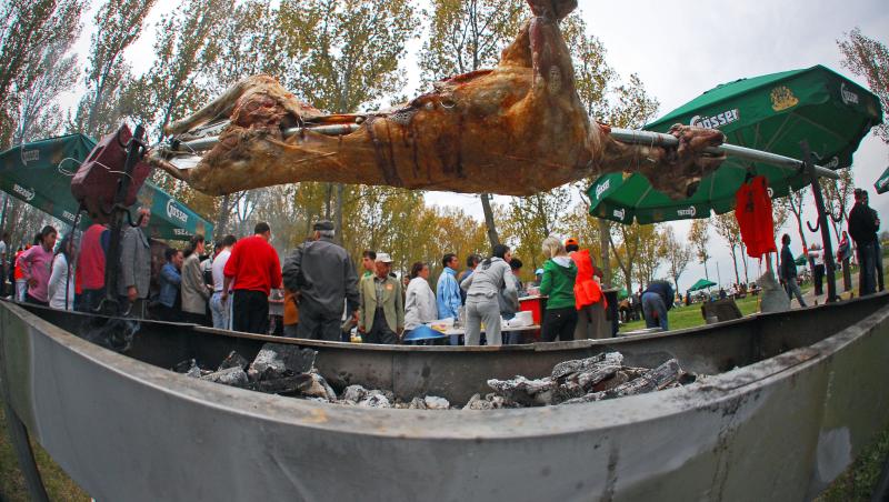 Cât a ajuns să coste kilogramul de carne de miel înainte de Paște. Românii au nevoie de un buget considerabil pentru sărbători