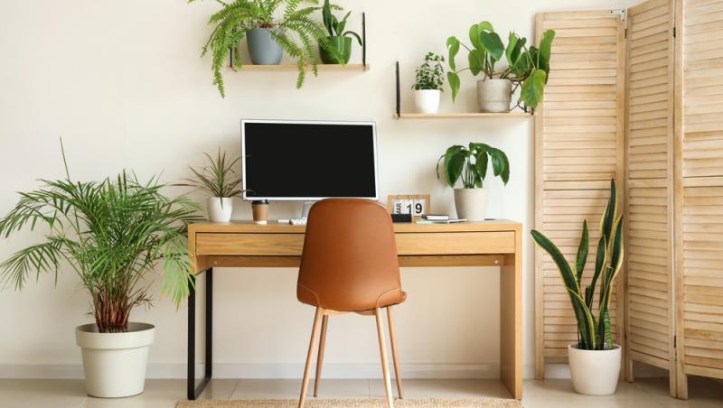 Tendințele în designul interior 2025: Ce se poartă în locuințele moderne? (P)