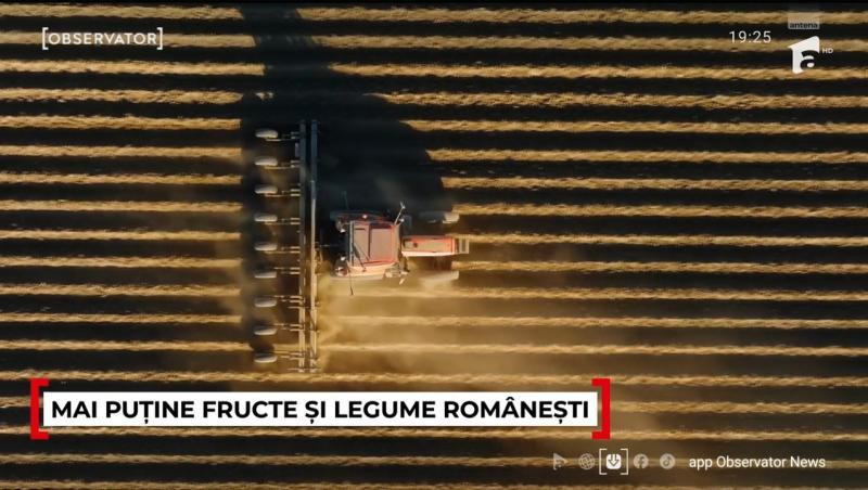 Se anunță noi scumpiri! Românii vor fi nevoiți să scoată mai mulți bani din portofel pentru legume și fructe. Care e motivul