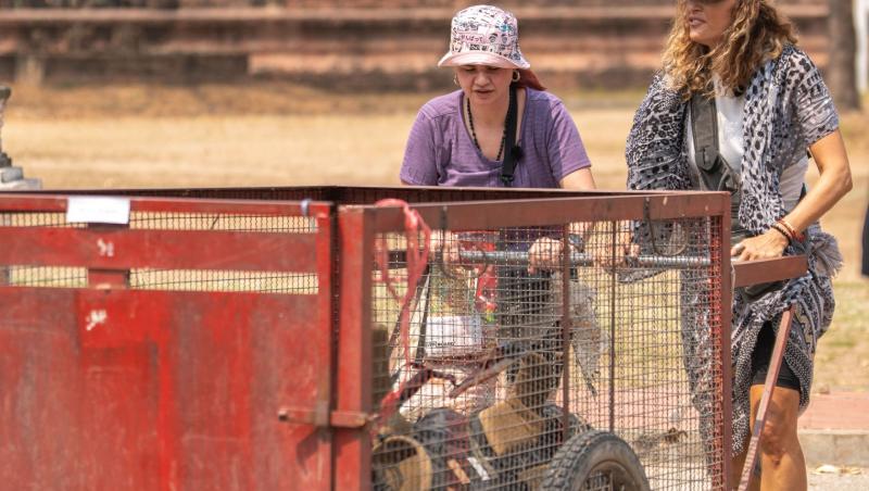 Anca Țurcașiu și iubitul ei se pregătesc pentru un eveniment special. Ce a dezvăluit cu emoție celebra artistă