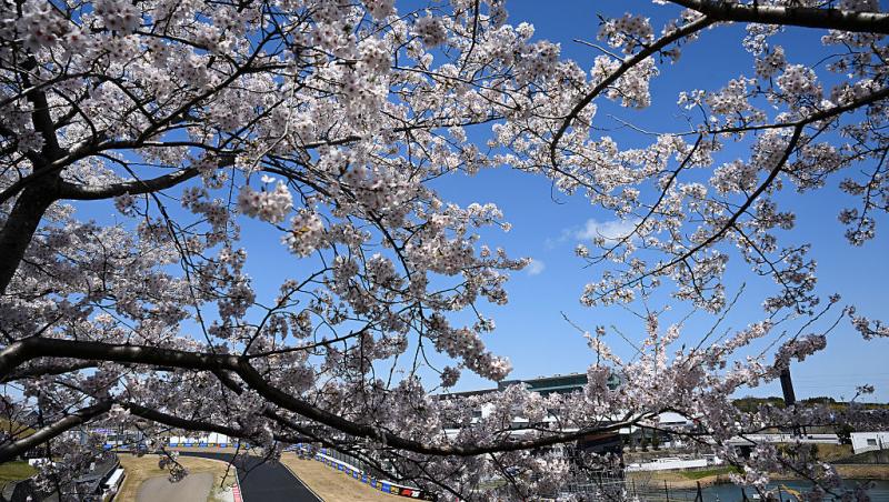 Vezi acum calificările din Formula 1™ pentru Marele Premiu al Japoniei. Bătălia pentru pole e LIVE în AntenaPLAY și pe Antena3CNN