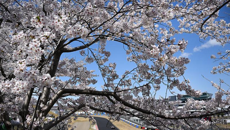 Urmărește acum cursa din Formula 1™ pentru Marele Premiu al Japoniei, LIVE pe Antena 3 CNN și în AntenaPLAY