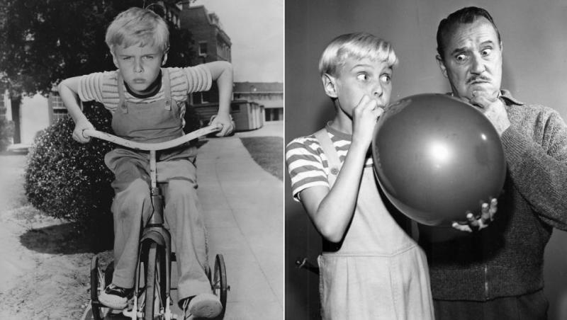 colaj jay north în dennis pericol public