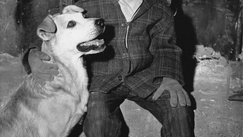 Doliu în lumea filmului. Actorul care l-a interpretat pe Dennis în „Dennis, pericol public” a decedat.Ce copilărie dificilă a avut