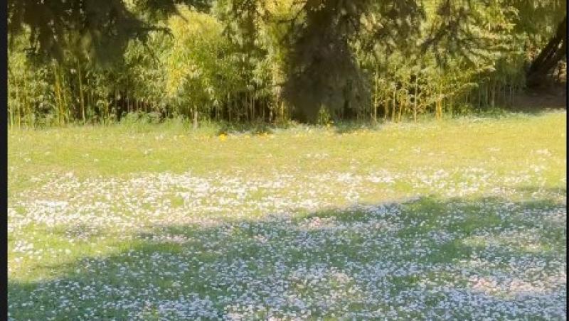 Laura Cosoi, escapadă romantică. Unde a plecat vedeta împreună cu toată familia și ce momente speciale marchează