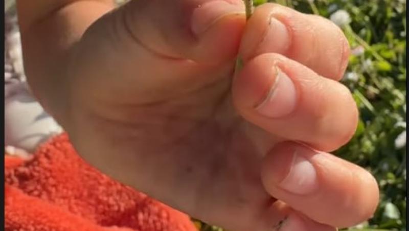 Laura Cosoi, escapadă romantică. Unde a plecat vedeta împreună cu toată familia și ce momente speciale marchează