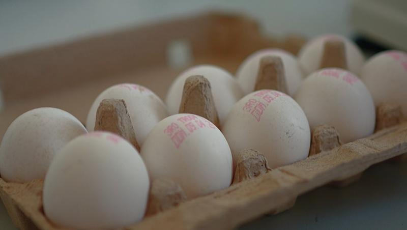 Noul sezon „Ce ne puneți în mâncare” debutează astăzi cu un subiect alarmant: riscul toxic din vopseaua pentru ouăle de Paşte