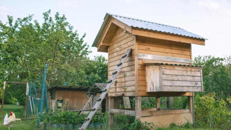 Un bărbat a transformat cotețul de găini într-un apartament cu două camere. Ce sumă obține lunar după ce l-a dat în chirie