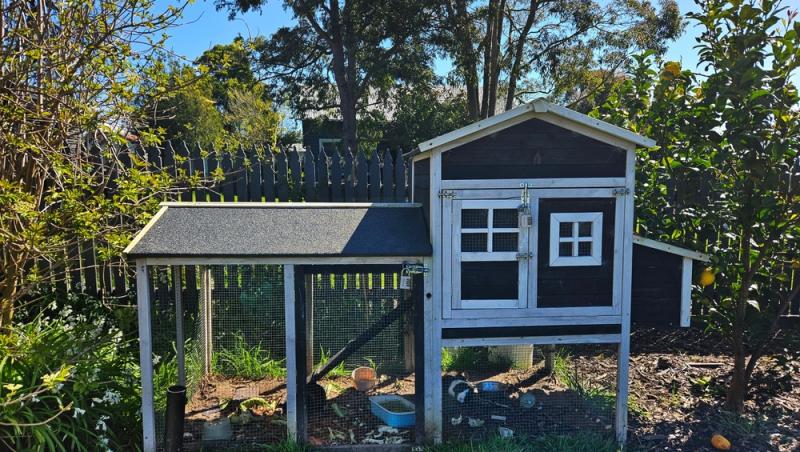 Un bărbat a transformat cotețul de găini într-un apartament cu două camere. Ce sumă obține lunar după ce l-a dat în chirie