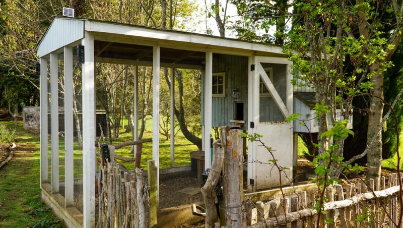 Un bărbat a transformat cotețul de găini într-un apartament cu două camere. Ce sumă obține lunar după ce l-a dat în chirie