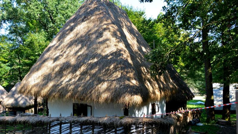 Noaptea Muzeelor 2025. Ce muzee pot fi vizitate în țară și în București pe 17 mai