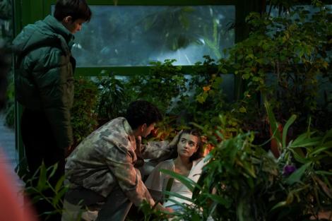 Cele mai noi episoade ale serialului original Ana, Mi-ai fost scrisă în ADN, lider de audienţă în data de 15 mai