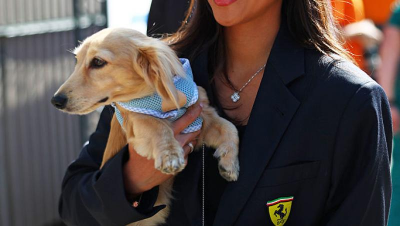 Cursa din Formula 1™ de la Imola a fost pe Antena Stars și în AntenaPLAY! Max Verstappen a câștigat