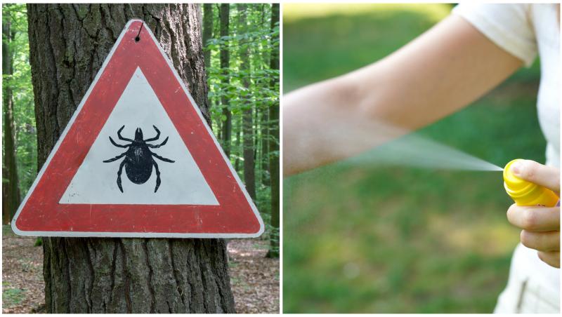 Colaj cu un semn ce indica căpușe în pădure și cineva care se dă cu spray