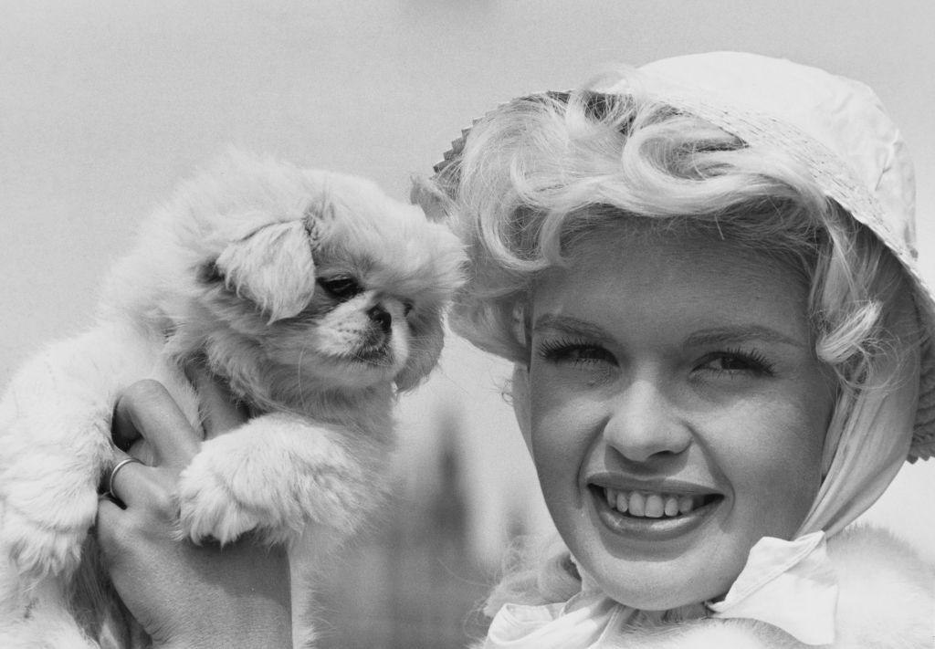 O imagine alb-negru cu Jayne Mansfield ținând un cățel în mâini