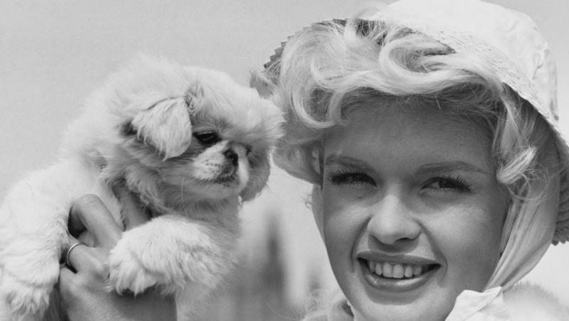 O imagine alb-negru cu Jayne Mansfield ținând un cățel în mâini