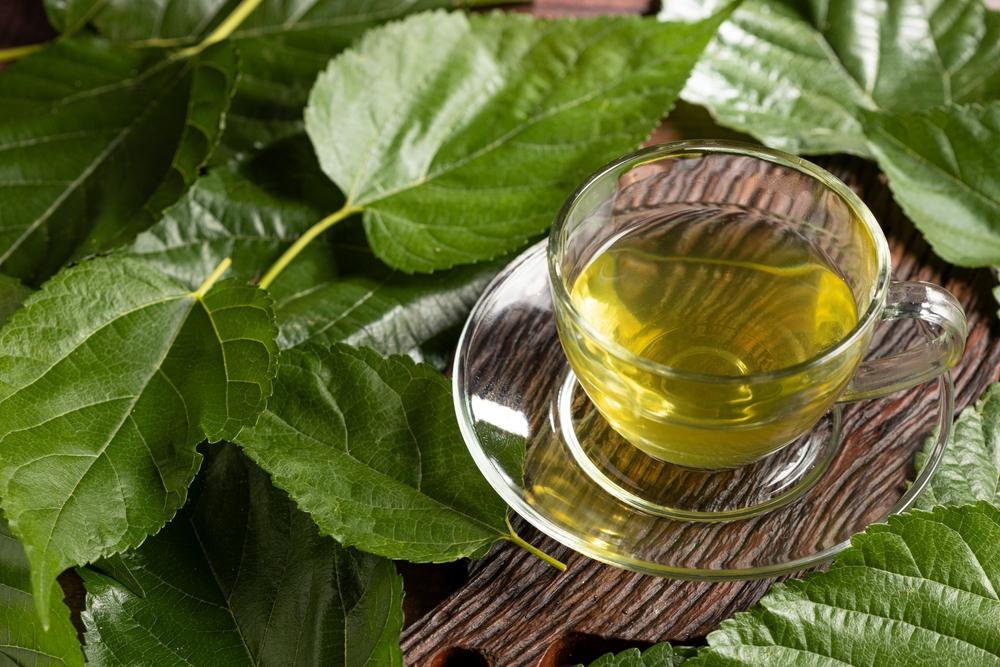 Proprietățile ceaiului din frunze de dud. Ce utilizări medicinale pot avea ceaiul și frunzele de dud