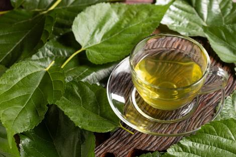 Proprietățile ceaiului din frunze de dud. Ce utilizări medicinale pot avea ceaiul și frunzele de dud