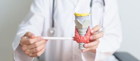 Obiceiuri pentru sănătatea tiroidei. Cum pot preveni afecțiunile tiroidiene