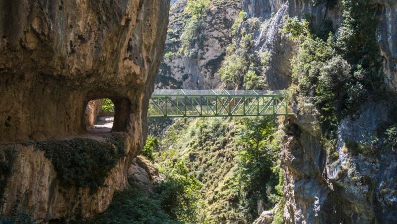 Un turist ar putea primi o amendă uriașă după publicarea unui filmuleț. Ce gest necugetat a făcut: „Îl poate costa scump”