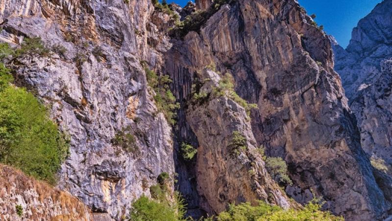 Un turist ar putea primi o amendă uriașă după publicarea unui filmuleț. Ce gest necugetat a făcut: „Îl poate costa scump”