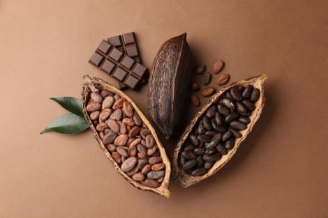 Ce se întâmplă dacă consumi cacao des? Beneficii cacao, ce nutrienți și proprietăți deține