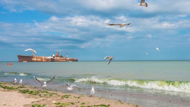 Prețurile din Costinești comparabile cu cele din Monaco. Cât a ajuns să coste parcarea în stațiunea tineretului