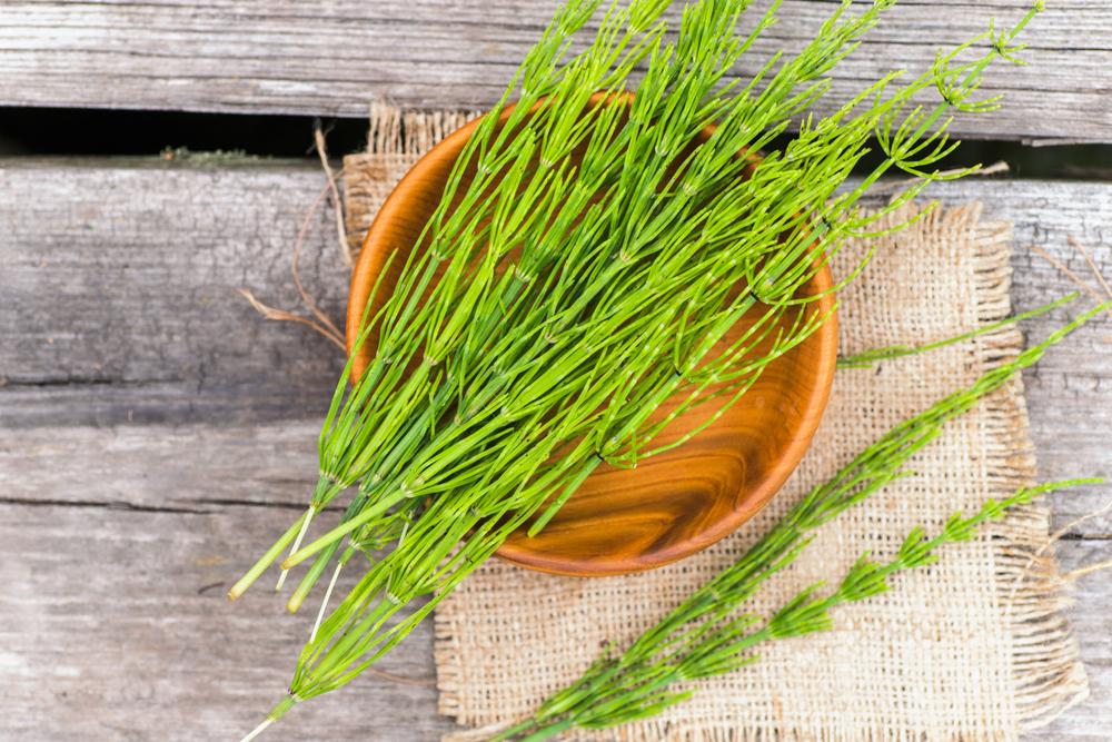 Ceaiul de coada-calului: beneficii, proprietăți și efecte adverse