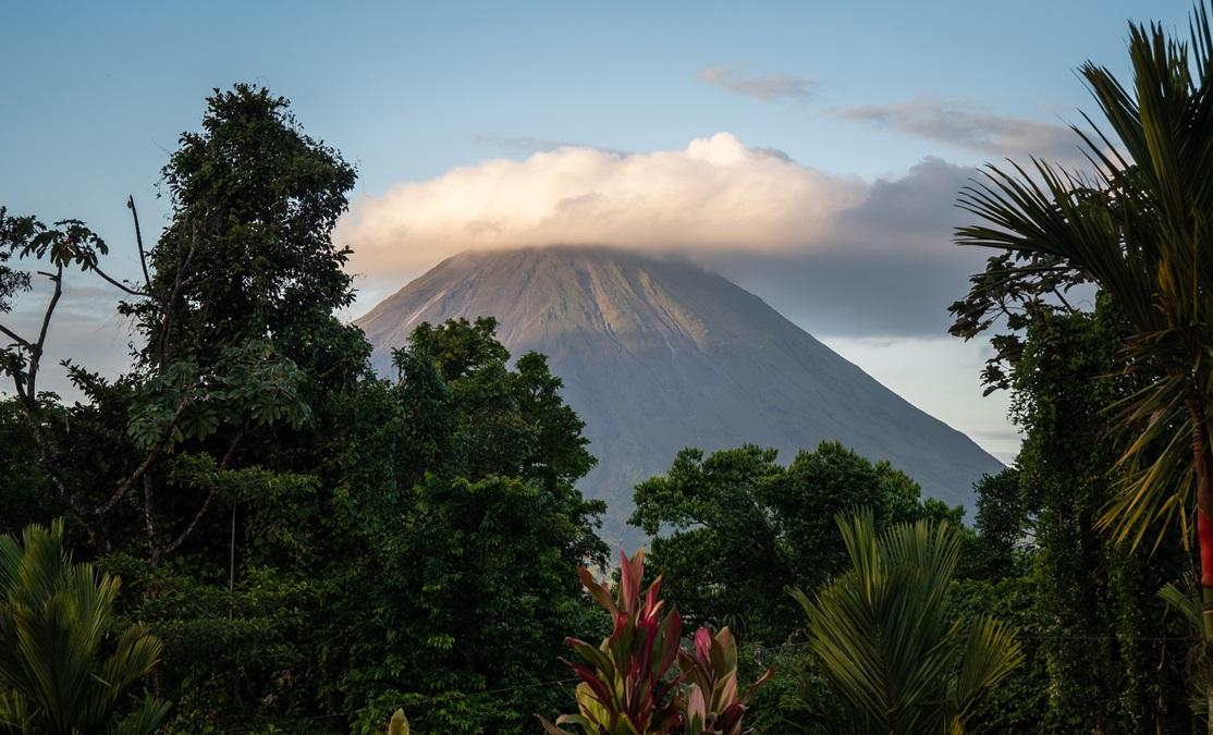 Cum ne pot preveni copacii că urmează o erupție vulcanică. Fenomenul care a rămas ascuns până acum