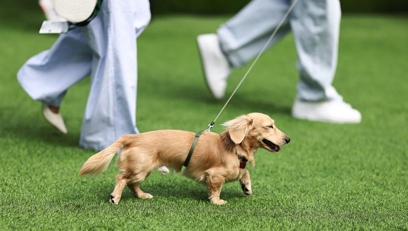Urmărește acum cursa din Formula 1™ pentru Marele Premiu de la Miami, LIVE pe Antena Stars și în AntenaPLAY