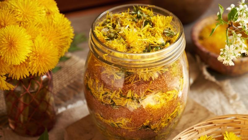 borcan cu flori de păpădie