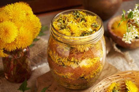 Cum se mănâncă păpădia. Rețetă ingenioasă și beneficii